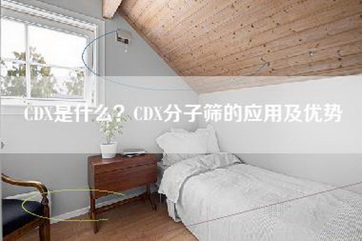 CDX是什么？CDX分子筛的应用及优势