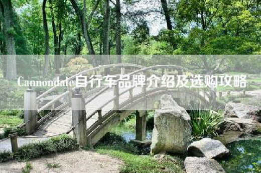 Cannondale自行车品牌介绍及选购攻略