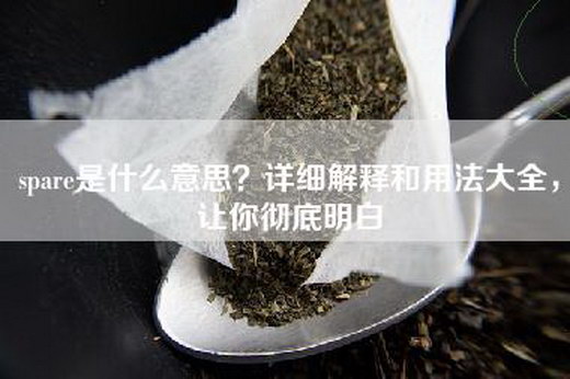 spare是什么意思？详细解释和用法大全，让你彻底明白