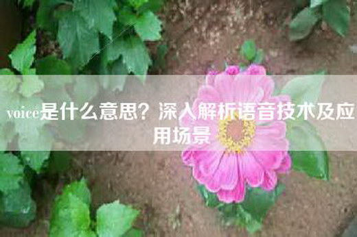 voice是什么意思？深入解析语音技术及应用场景