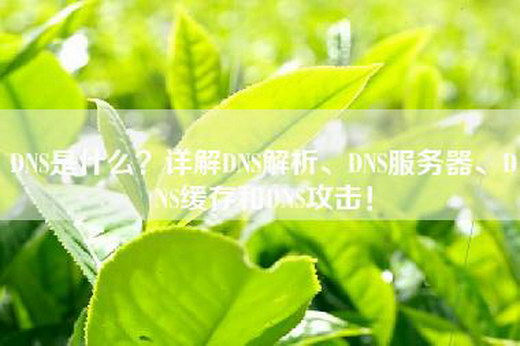 DNS是什么？详解DNS解析、DNS服务器、DNS缓存和DNS攻击！