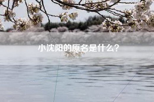 小沈阳的原名是什么？