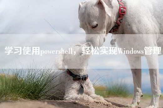 学习使用powershell，轻松实现Windows管理