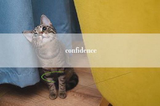 confidence