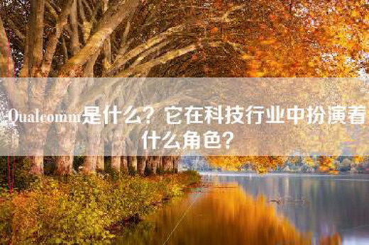 Qualcomm是什么？它在科技行业中扮演着什么角色？