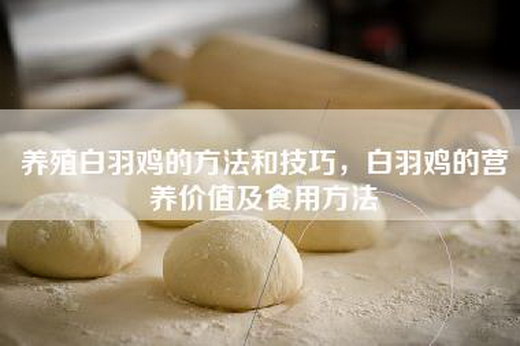 养殖白羽鸡的方法和技巧，白羽鸡的营养价值及食用方法