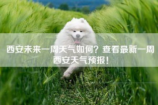 西安未来一周天气如何？查看最新一周西安天气预报！