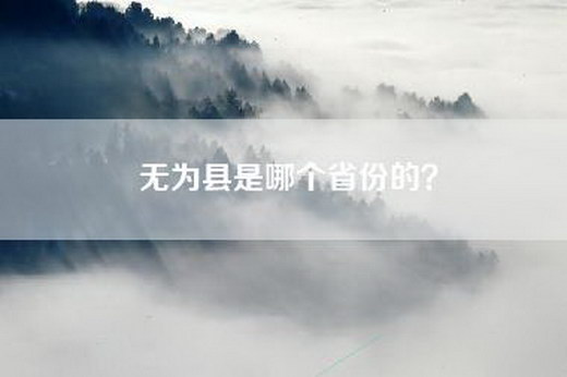 无为县是哪个省份的？