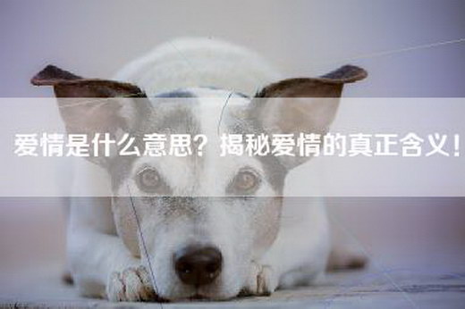 爱情是什么意思？揭秘爱情的真正含义！