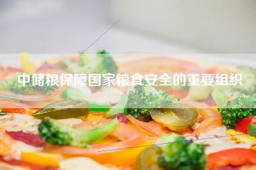 中储粮保障国家粮食安全的重要组织