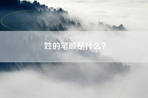 姓的笔顺是什么？