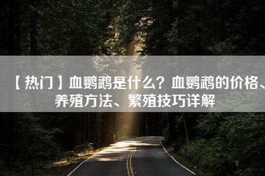 【热门】血鹦鹉是什么？血鹦鹉的价格、养殖方法、繁殖技巧详解