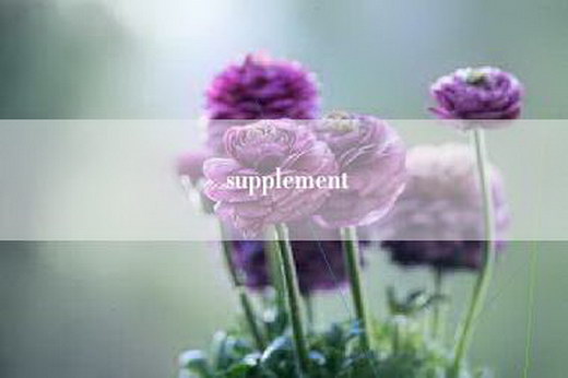 supplement