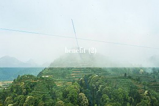 benefit (2)