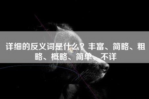 详细的反义词是什么？丰富、简略、粗略、概略、简单、不详