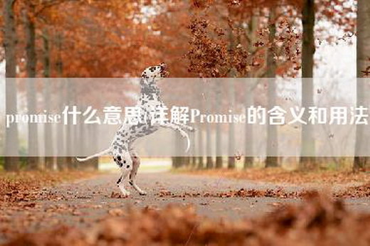 promise什么意思(详解Promise的含义和用法)