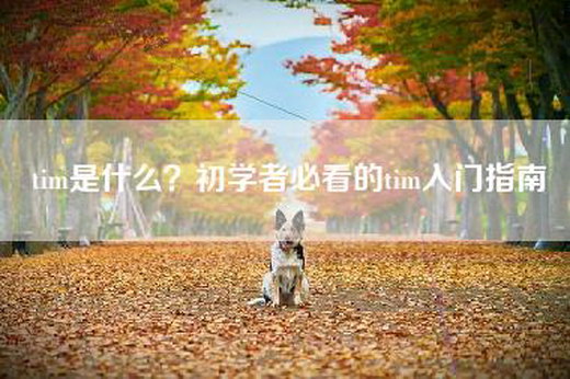 tim是什么？初学者必看的tim入门指南