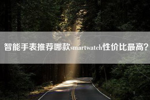 智能手表推荐哪款smartwatch性价比最高？