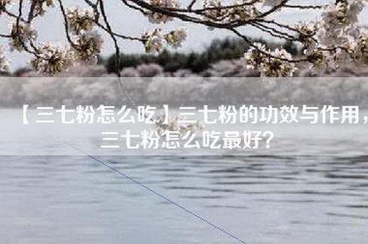 【三七粉怎么吃】三七粉的功效与作用，三七粉怎么吃最好？