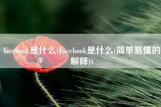 facebook是什么(Facebook是什么(简单易懂的解释))