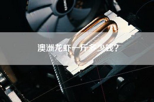 澳洲龙虾一斤多少钱？