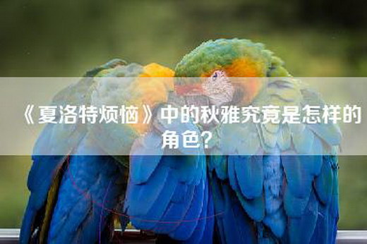 《夏洛特烦恼》中的秋雅究竟是怎样的角色？