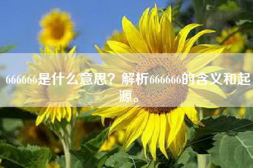 666666是什么意思？解析666666的含义和起源。