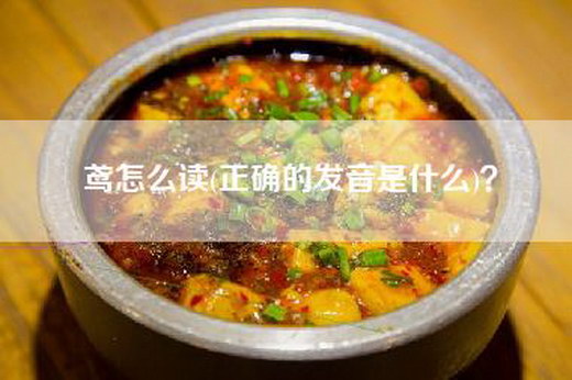 鸢怎么读(正确的发音是什么)？