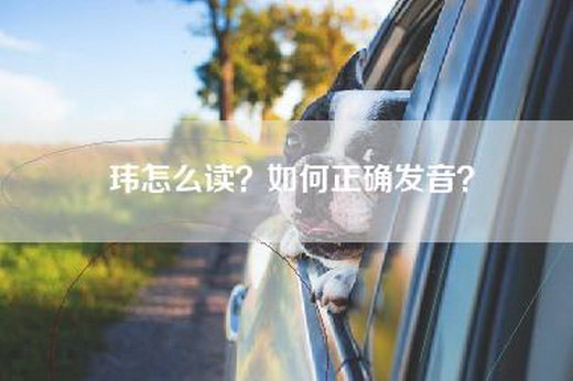 玮怎么读？如何正确发音？