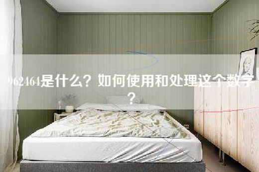 962464是什么？如何使用和处理这个数字？