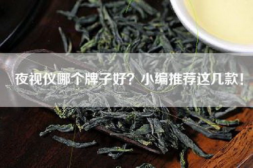 夜视仪哪个牌子好？小编推荐这几款！