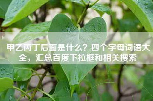 甲乙丙丁后面是什么？四个字母词语大全，汇总百度下拉框和相关搜索