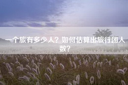 一个旅有多少人？如何估算出旅行团人数？