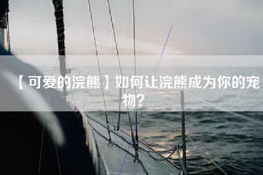 【可爱的浣熊】如何让浣熊成为你的宠物？