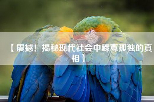 【震撼！揭秘现代社会中鳏寡孤独的真相】