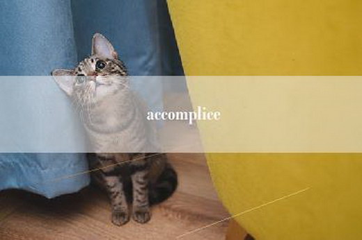 accomplice