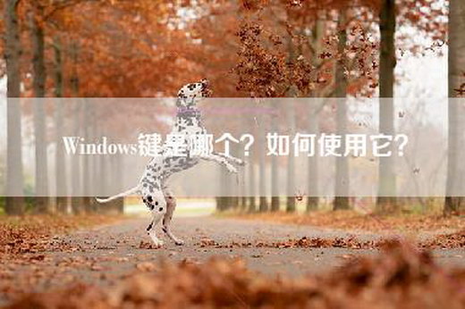 Windows键是哪个？如何使用它？