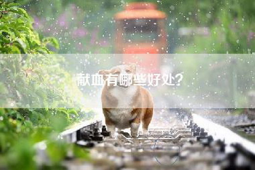 献血有哪些好处？