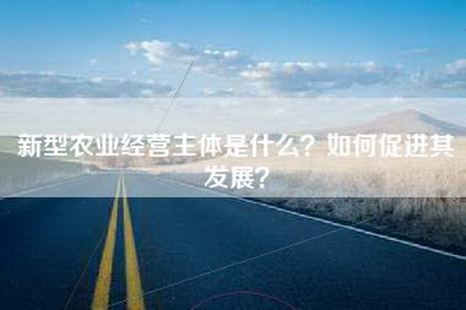 新型农业经营主体是什么？如何促进其发展？