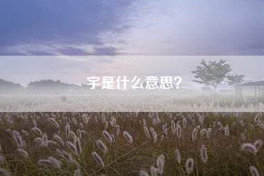 宇是什么意思？