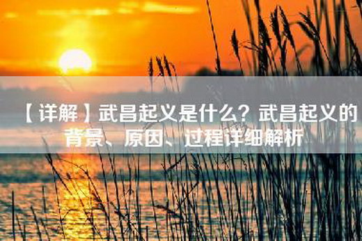 【详解】武昌起义是什么？武昌起义的背景、原因、过程详细解析