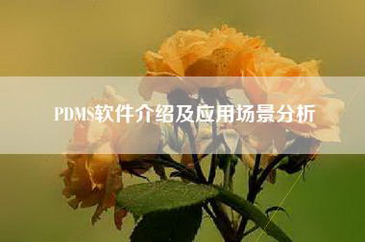 PDMS软件介绍及应用场景分析