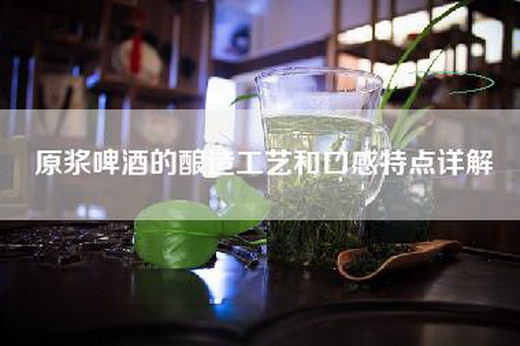 原浆啤酒的酿造工艺和口感特点详解