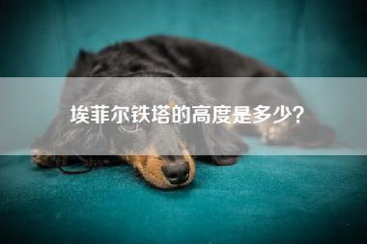 埃菲尔铁塔的高度是多少？