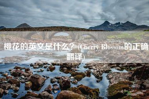 樱花的英文是什么？(Cherry Blossom的正确翻译)