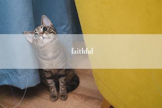 faithful