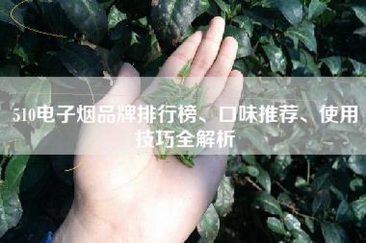 510=品牌排行榜、口味推荐、使用技巧全解析