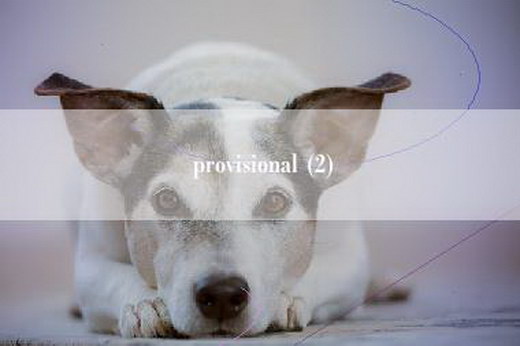 provisional (2)