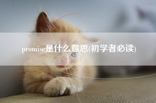 promise是什么意思(初学者必读)