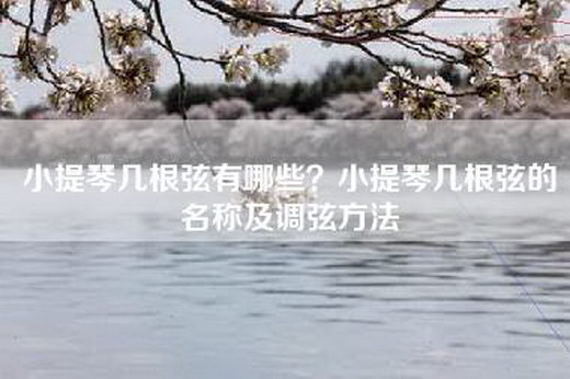 小提琴几根弦有哪些？小提琴几根弦的名称及调弦方法